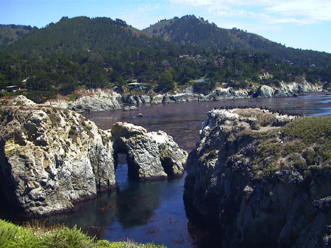 Point Lobos 77K jpeg